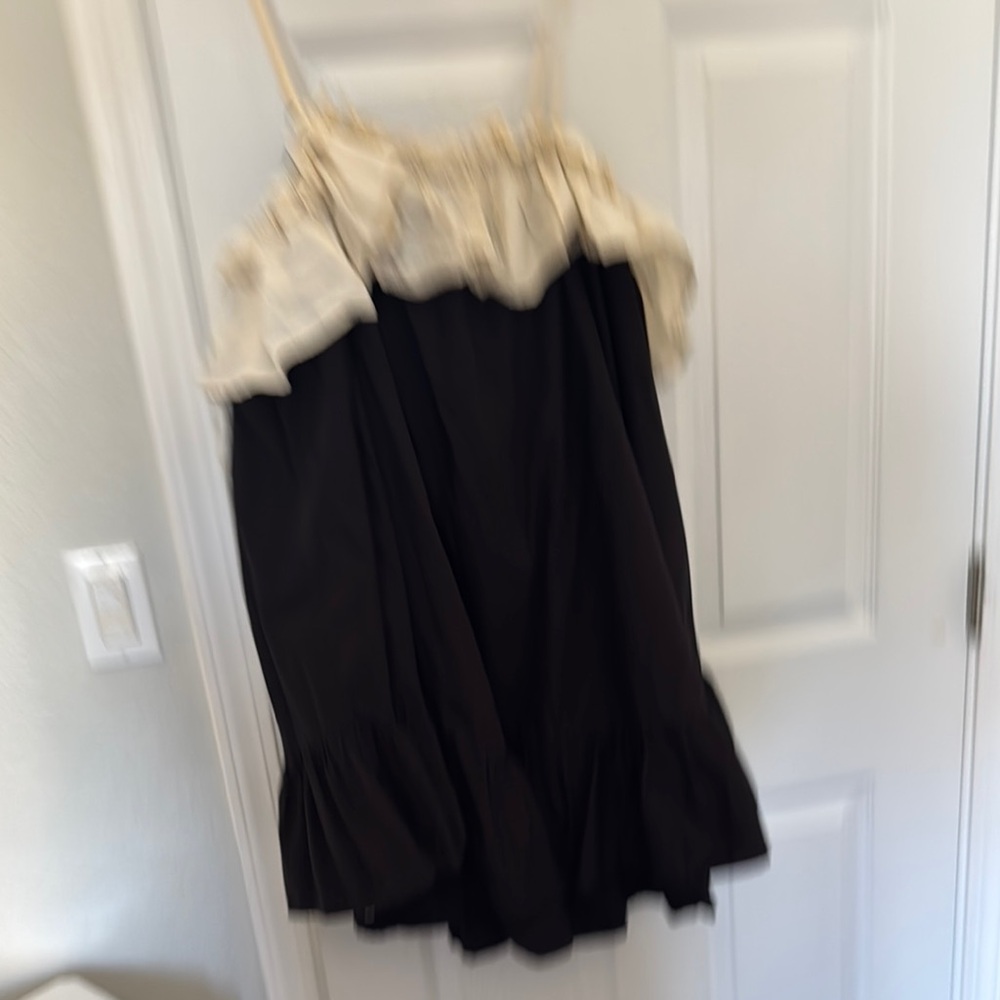 Anthropologie Black and White Ruffle Dress - Picture 5 of 6